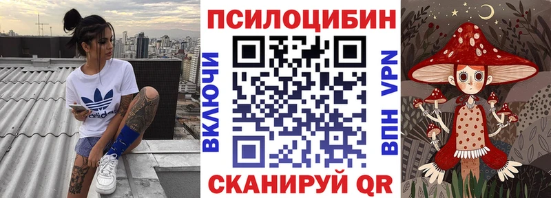 Галлюциногенные грибы Psilocybe  Липки 